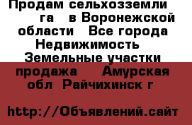 Продам сельхозземли ( 6 000 га ) в Воронежской области - Все города Недвижимость » Земельные участки продажа   . Амурская обл.,Райчихинск г.